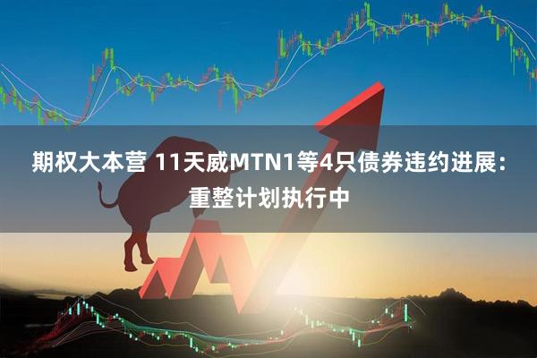 期权大本营 11天威MTN1等4只债券违约进展：重整计划执行中